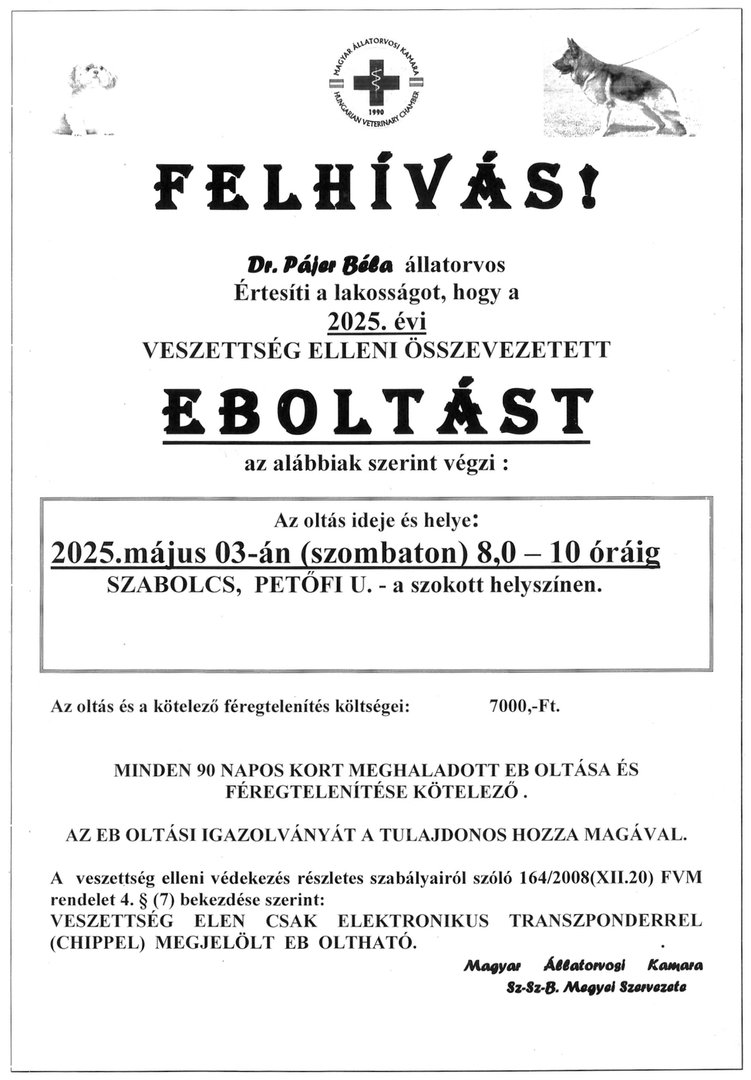 eboltas2025 face