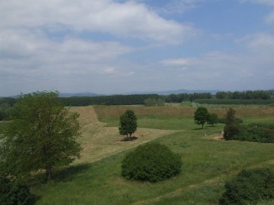 dscf7422