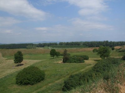 dscf7423