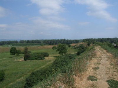 dscf7424