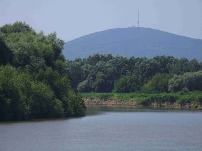 dscf7015